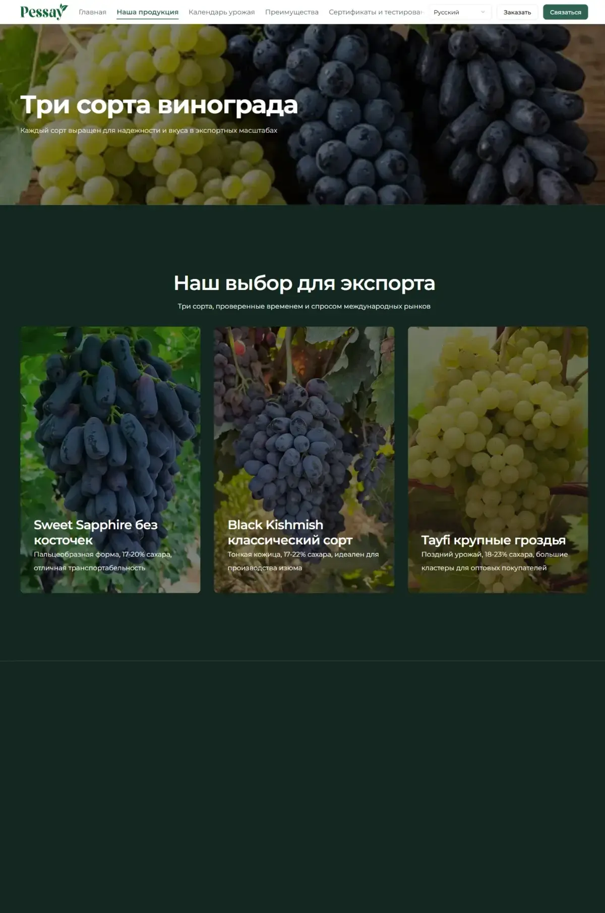 Pessay Agro — Responsive screens 2
